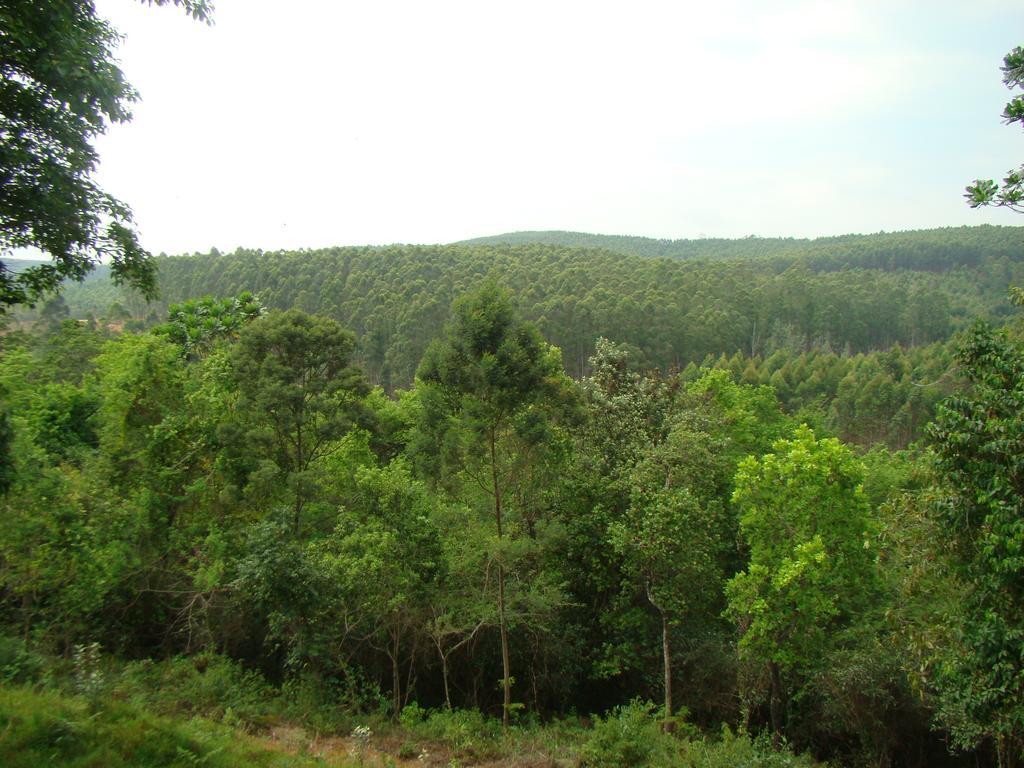 Mulberry Lane Hotel Graskop Kültér fotó